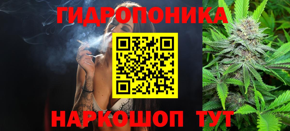 Конопля гибрид  Каннабис LSD WEED  Вход с VPN  Бошки марихуана конопля  Красный Сулин 
